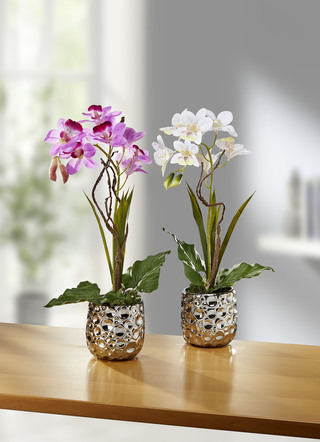 Orkidéarrangemang i en keramikkruka