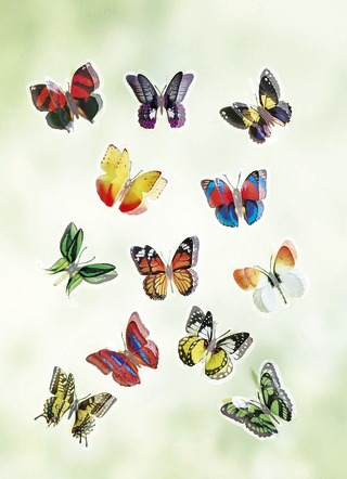 3D Fönsterfjärilar set med 12 st