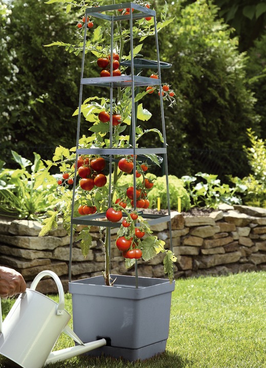 Blomkrukor & planteringskärl - MAXITOM tomatspaljé komplett set, i färg ANTRACIT Utsikt 1