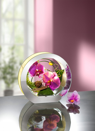 Upplyst orkidé i glas