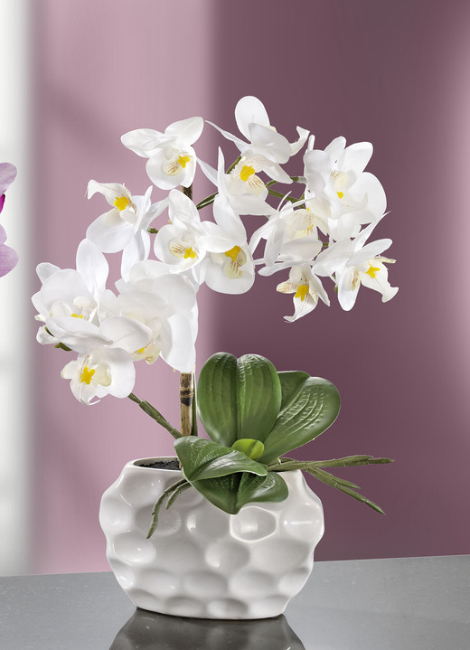 Konstgjorda växter - Orkidéarrangemang i keramikvas, i färg VIT Utsikt 1