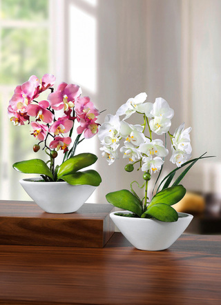 Orkidéer i keramikskål, set om 2