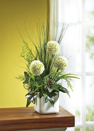 Arrangemang av Allium